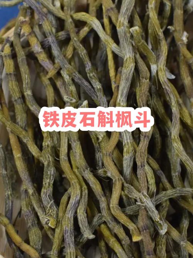 铁皮石斛：传统养生的现代价值