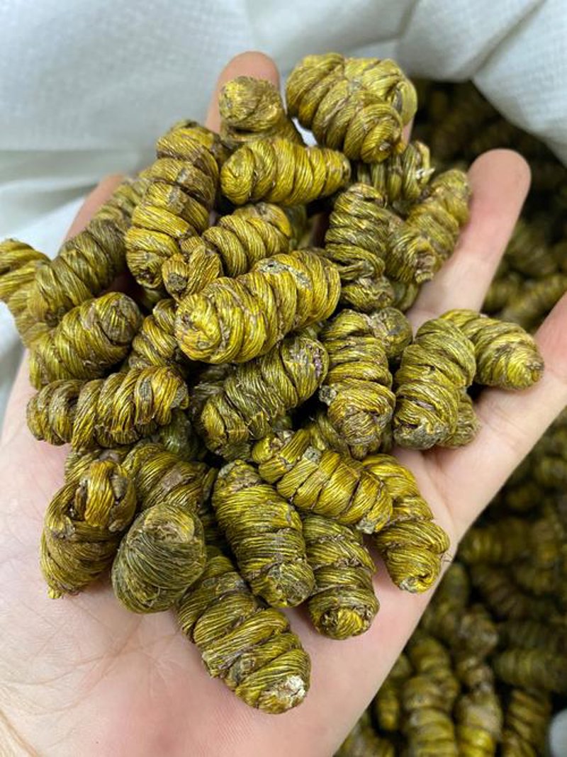 石斛枫斗