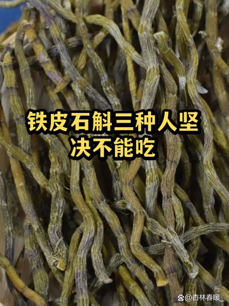 石斛种植行业新动态